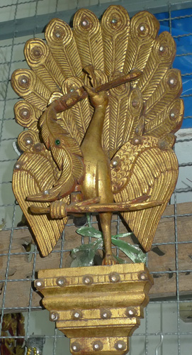 Peackock Peackock