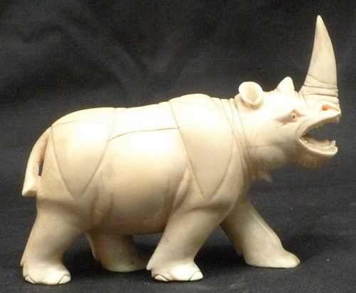 Rhinoceros Rhinoceros