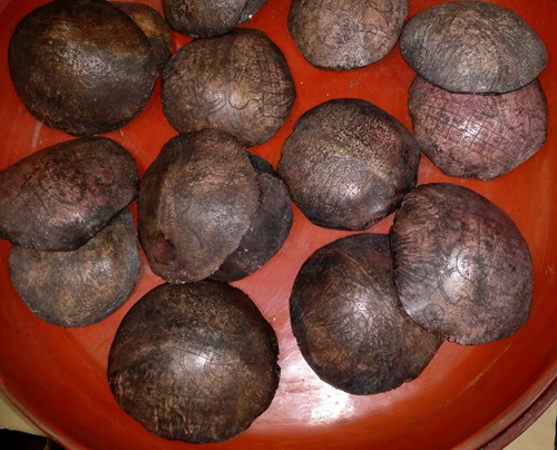 Tiny kapalas sold by one Tiny kapalas sold by one