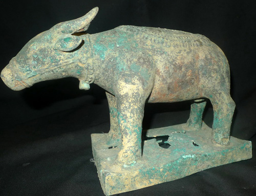Magical buffalo Magical buffalo
