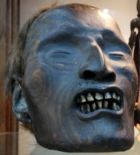 Mokomokai. Maori head Mokomokai. Maori head