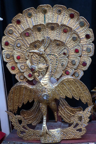 Peacock Peacock