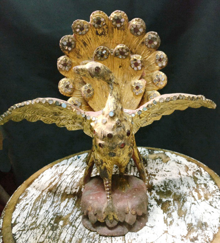 Peacock Peacock