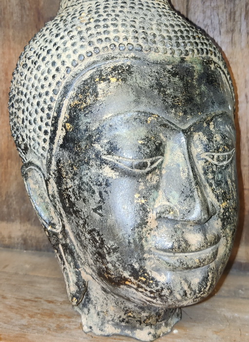 Ayutthaya Buddha head