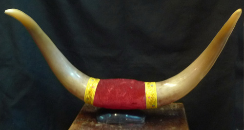 Yak horns