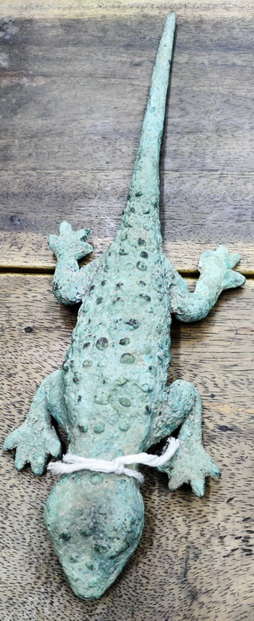 Tokay lizard