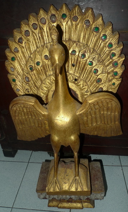 Peacock