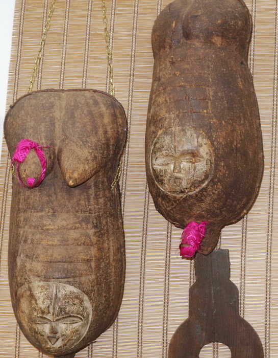 Woman and man breast and genital organs