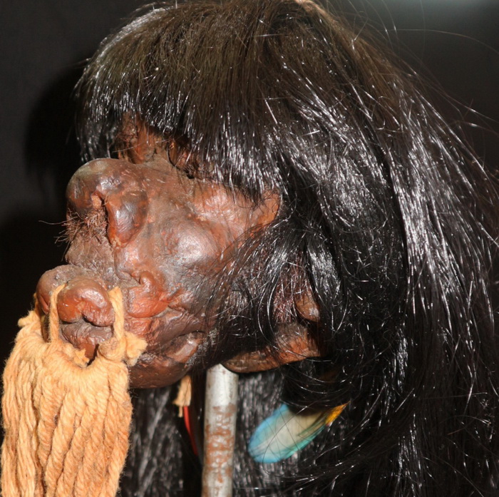 Shrunken head (replica)