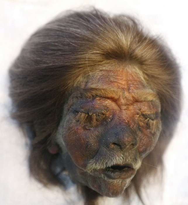 Shrunken head