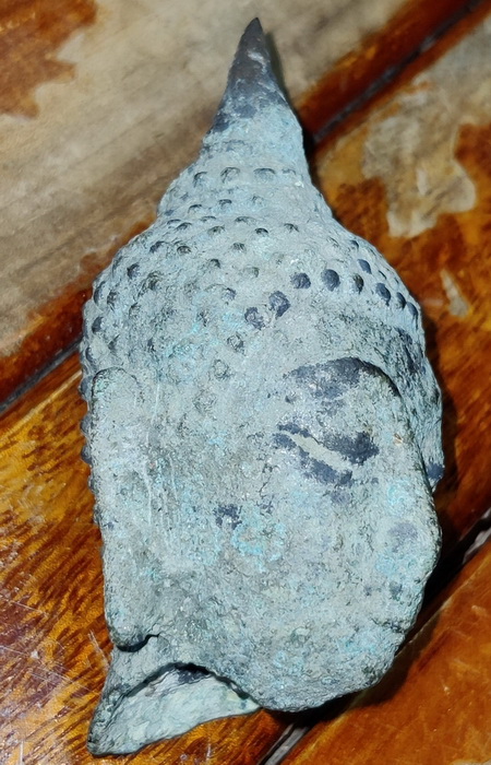 Ayutthaya Buddha Head